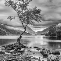 Llyn Padarn